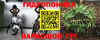 шишки Пушкино