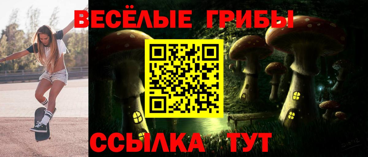 Галлюциногенные грибы Psilocybine cubensis  Вход с VPN  Холмск 